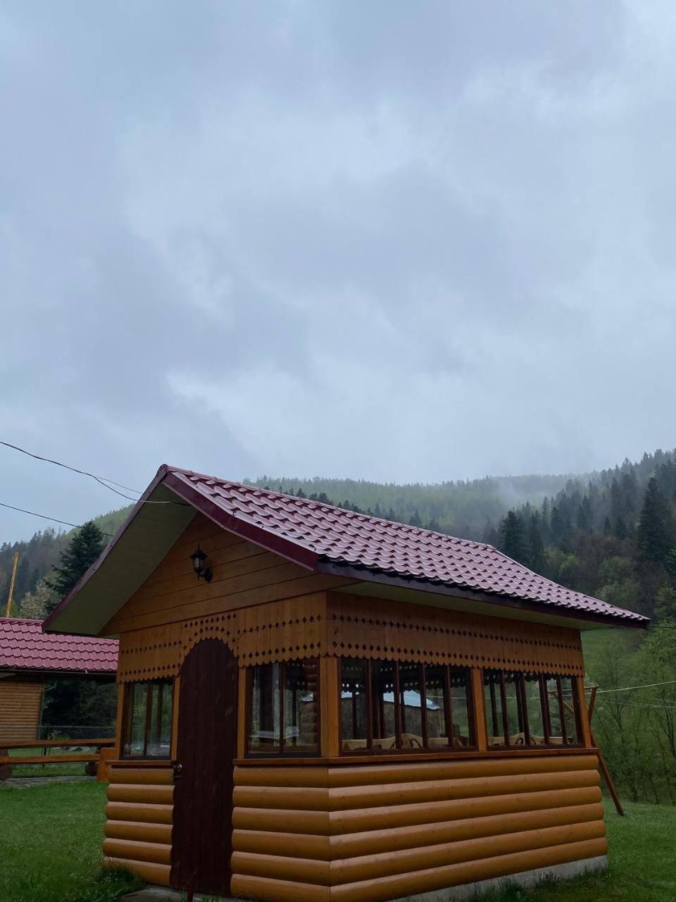 Карпатська Полонина Apartment Iaremcea Exterior foto